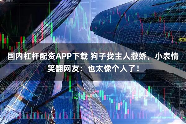 国内杠杆配资APP下载 狗子找主人撒娇，小表情笑翻网友：也太像个人了！