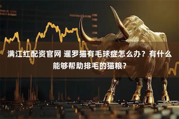 满江红配资官网 暹罗猫有毛球症怎么办？有什么能够帮助排毛的猫粮？