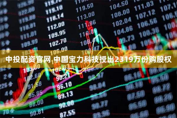 中投配资官网 中国宝力科技授出2319万份购股权